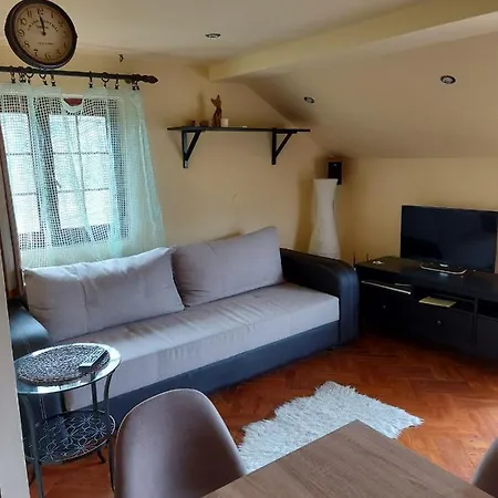 Gocka Natasa Villa Vrnjačka Banja
